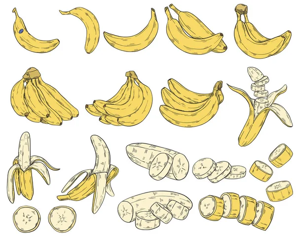 Conjunto Bananas Estilo Clipart Isolado Fundo Branco Ilustração Vetorial — Vetor de Stock