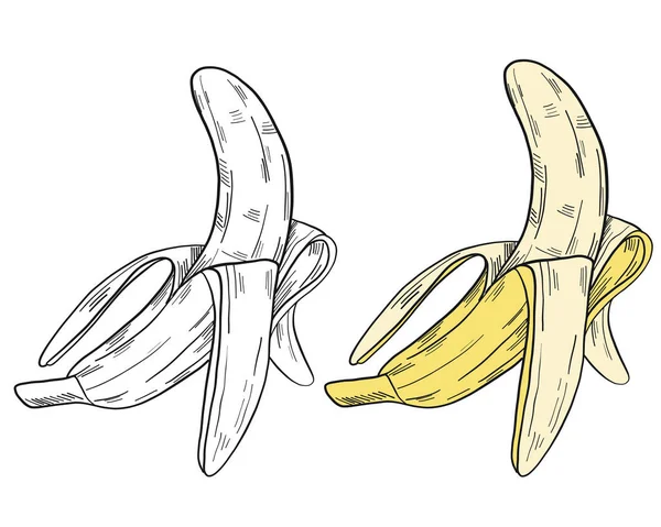 Plátano Pelado Clipart Estilo Aislado Sobre Fondo Blanco Ilustración Vectorial — Vector de stock