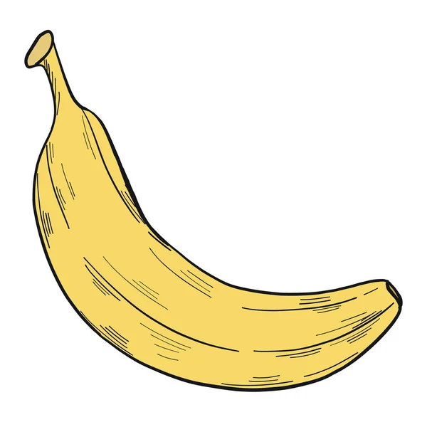 Illustration Une Banane Style Clip Art Isolée Sur Fond Blanc — Image vectorielle