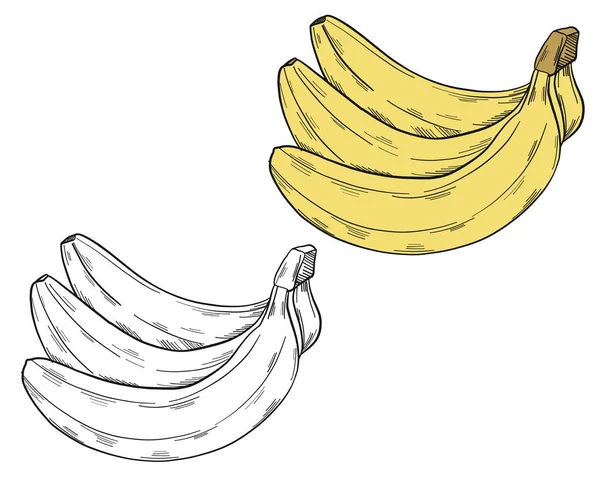 Ramo Plátano Estilo Clip Art Aislado Sobre Fondo Blanco Ilustración — Vector de stock