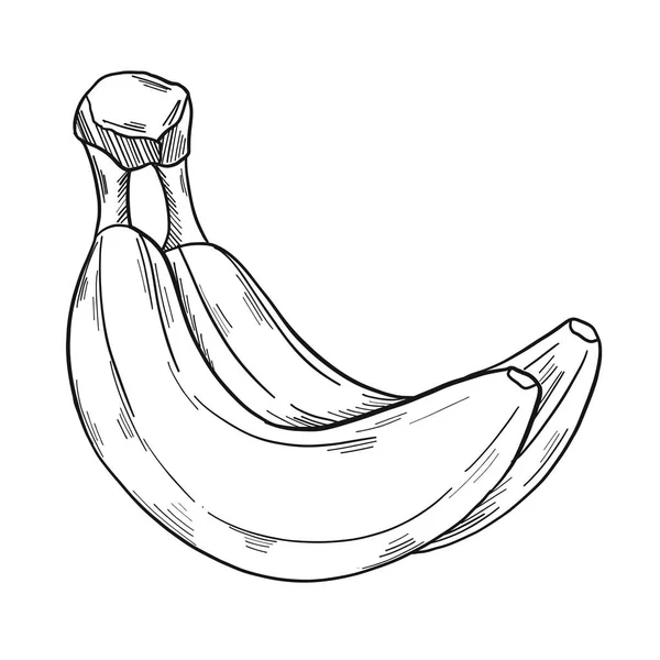 Egy Csomó Banán Klipszes Művészeti Stílusban Elszigetelve Fehér Háttérrel Vektorillusztráció — Stock Vector