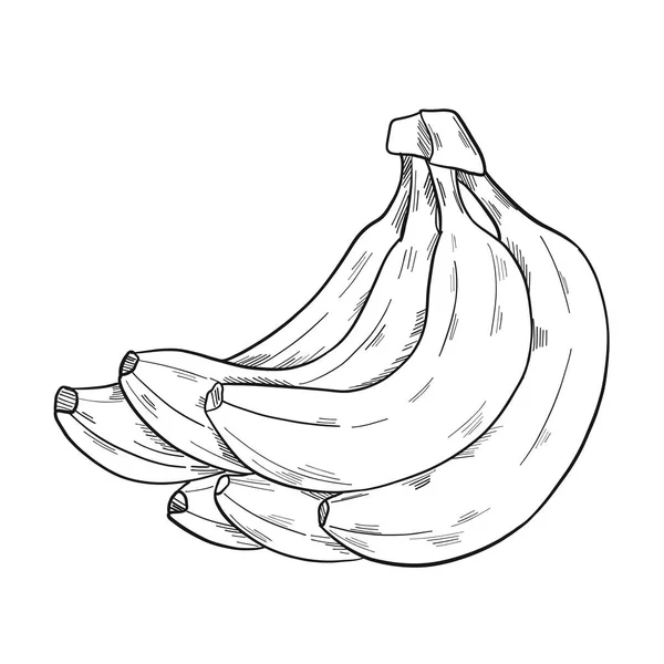 Ein Bündel Bananen Clip Art Stil Isoliert Auf Weißem Hintergrund — Stockvektor