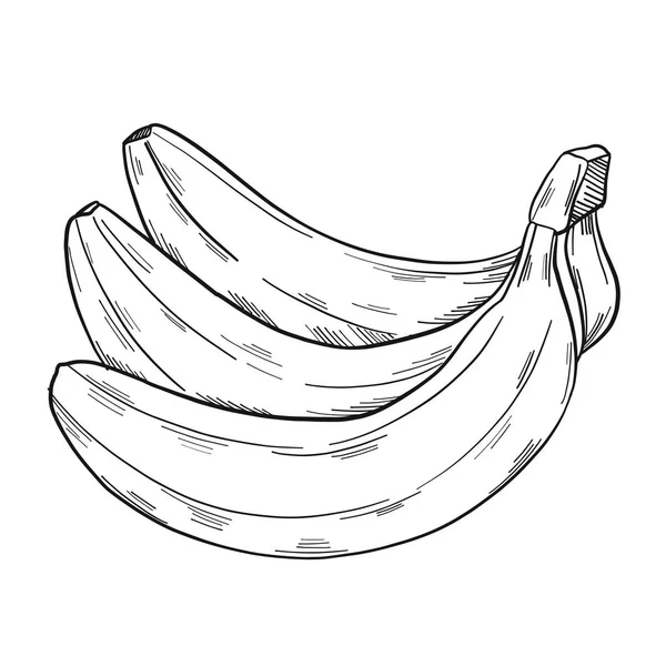 Bouquet Bananes Dans Style Clip Art Isolées Sur Fond Blanc — Image vectorielle