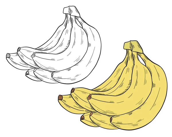 Ein Bündel Bananen Clip Art Stil Isoliert Auf Weißem Hintergrund — Stockvektor