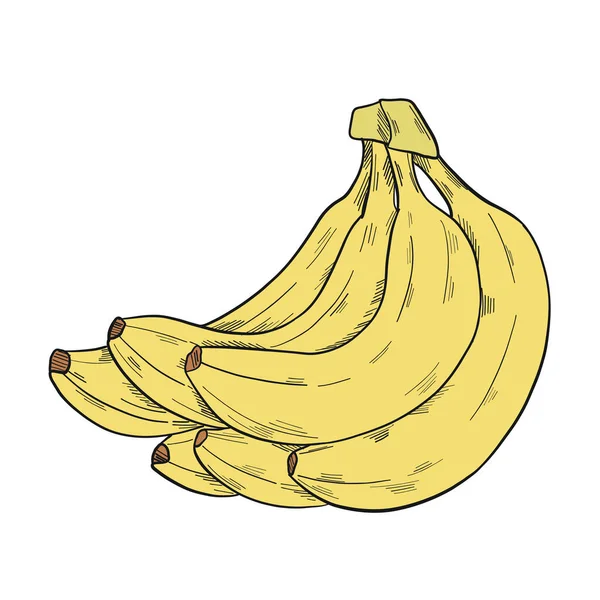 Een Stelletje Banaan Clip Art Stijl Geïsoleerd Een Witte Achtergrond — Stockvector