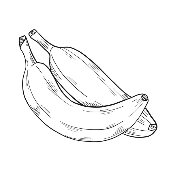 Duas Bananas Estilo Clipart Isolado Fundo Branco Ilustração Vetorial — Vetor de Stock