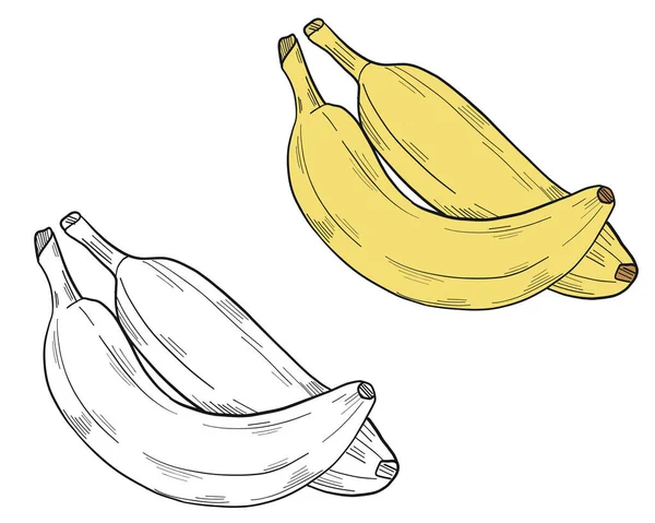 Duas Bananas Estilo Clipart Isolado Fundo Branco Ilustração Vetorial — Vetor de Stock