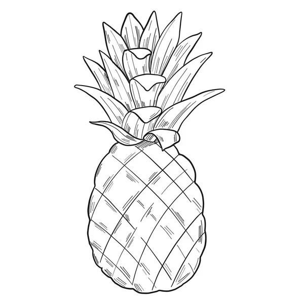 Grafische Illustration Einer Ananas Cliparts Stil Isoliert Auf Weißem Hintergrund — Stockvektor