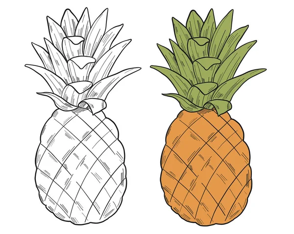 Illustration Graphique Ananas Clipart Isolé Sur Fond Blanc Illustration Vectorielle — Image vectorielle