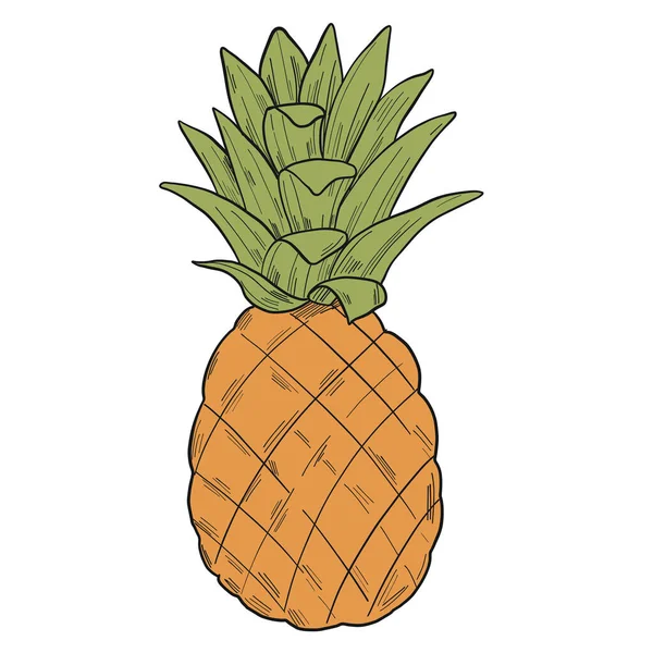 Grafische Illustration Einer Ananas Cliparts Stil Isoliert Auf Weißem Hintergrund — Stockvektor