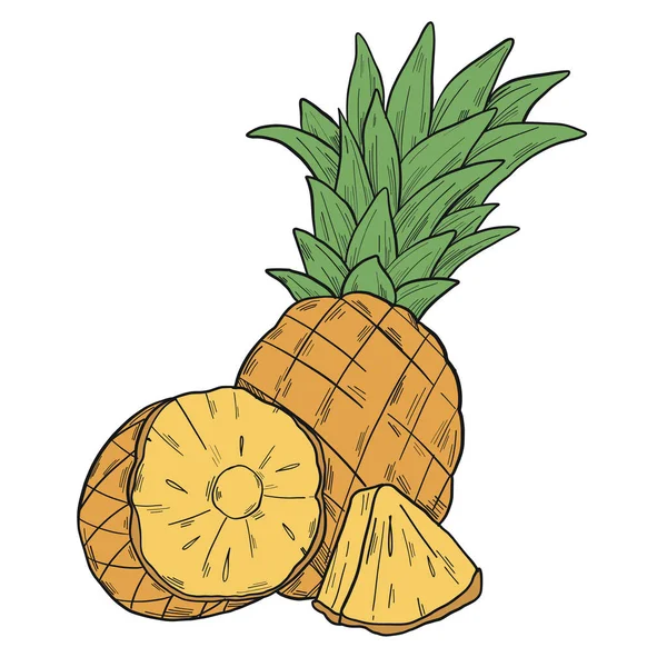 Grafische Illustration Mit Einer Halbierten Ananas Und Einem Abgeschnittenen Stück — Stockvektor