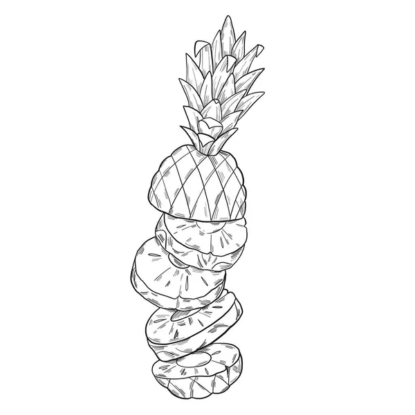 Illustration Graphique Avec Ananas Coupé Morceaux Isolés Sur Fond Blanc — Image vectorielle