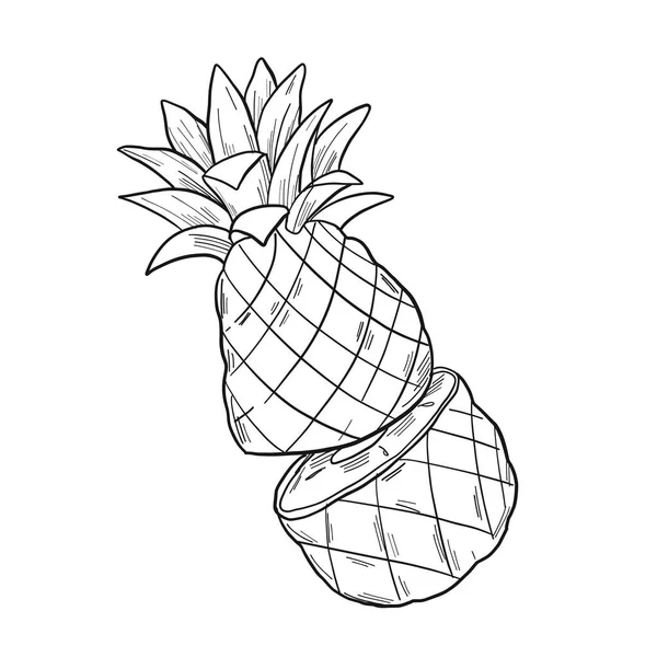 Grafische Illustration Einer Halbierten Ananas Skizzenstil Isoliert Auf Weißem Hintergrund — Stockvektor