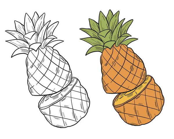 Grafisk Illustration Ananas Skuren Mitten Skiss Stil Isolat Vit Bakgrund — Stock vektor