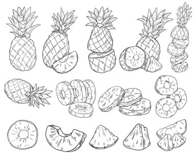 Robot resim tarzında bir dizi ananas. Ananas parçalara ayrıldı. Taze egzotik narenciye meyveleri. Tropik ananas. Tam, dilimlenmiş, dilimlenmiş, yarım, daireler, parçalar. Vektör grafik illüstrasyonu.