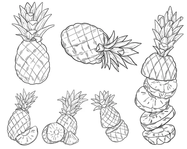Robot resim tarzında bir dizi ananas. Ananas parçalara ayrıldı. Taze egzotik narenciye meyveleri. Tropik ananas. Tam, dilimlenmiş, dilimlenmiş, yarım, daireler, parçalar. Vektör grafik illüstrasyonu.