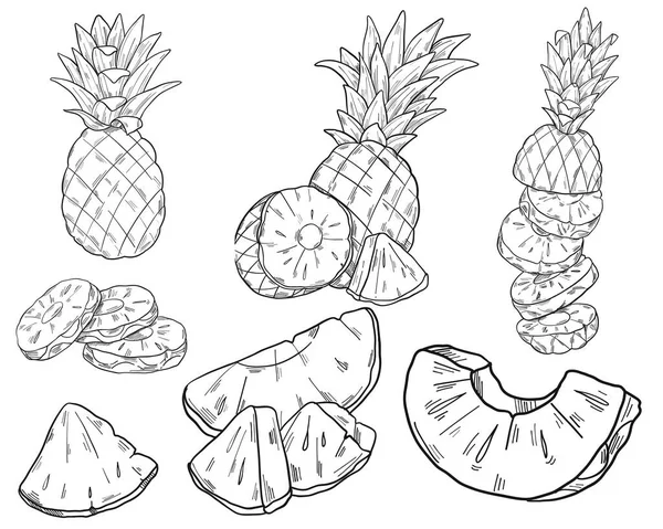 Ensemble Ananas Croquis Ananas Coupés Morceaux Des Agrumes Frais Exotiques — Image vectorielle