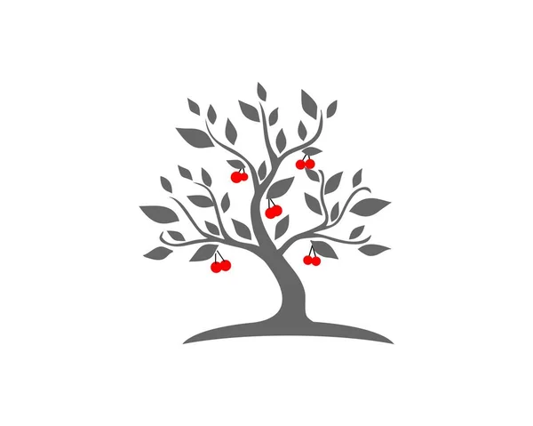 Kiraz ağacı logosu