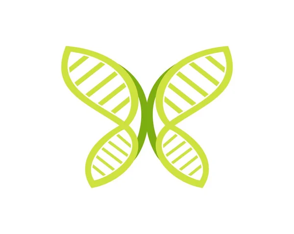 DNA butterfly vector — Stock Vector