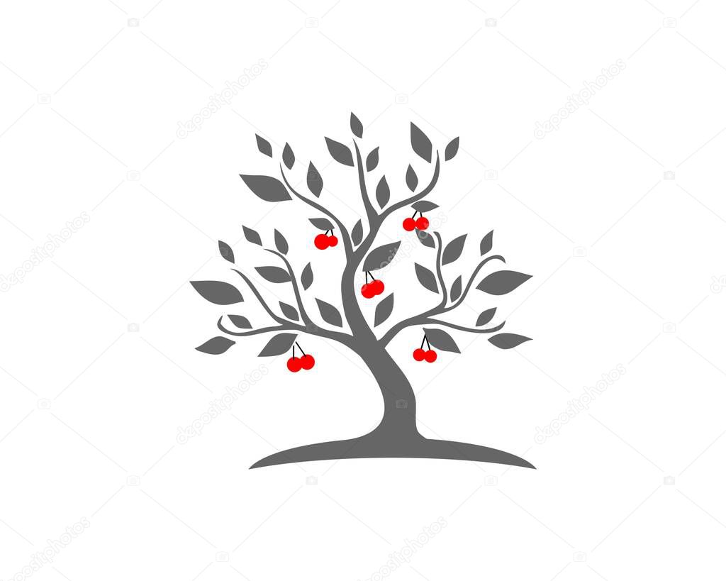 Cherry tree logo logo vector