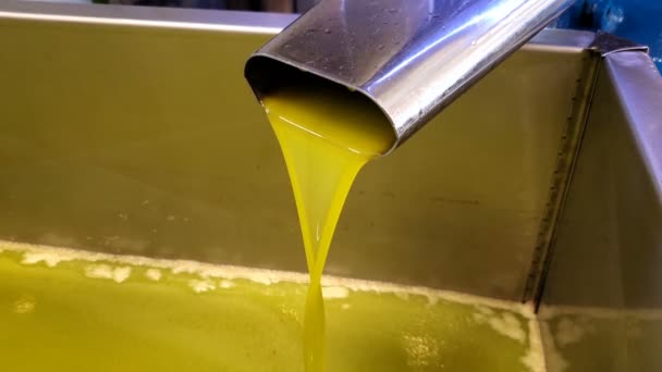 Průmysl lisoven olivového oleje, proces extrakce, extra průtok kapaliny z panenského oleje — Stock video