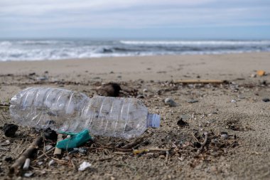 Deniz kıyısındaki plastik şişe, kirlilikten arınmış ekosistem gezegeni tasarruf kavramı