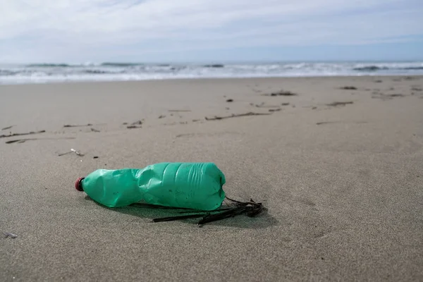 Green Plastic bottle on sea coast, pollution free ecosystem planet save concept
