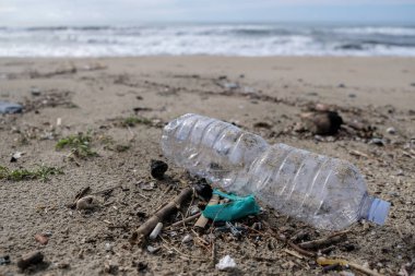 Deniz kıyısındaki plastik şişe çöpleri, kirlilikten arınmış ekosistem gezegeni tasarruf kavramı