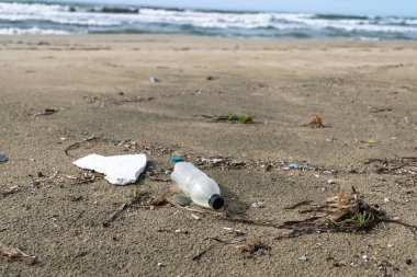 Vahşi deniz kıyısındaki plastik şişe arka planda bulanık, gezegen kurtarma kavramı