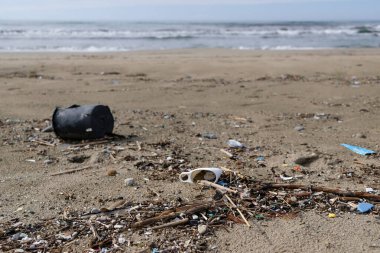 Vahşi deniz kıyısındaki plastik konteynır arka planda bulanık, gezegen tasarruf kavramı