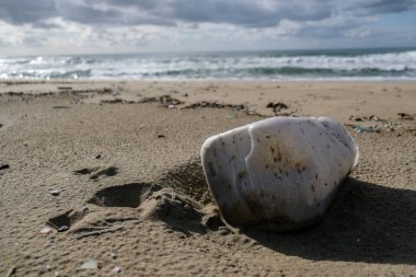 Plastik konteynır kumlu deniz kıyısında arka planda bulanık, gezegen kirliliği