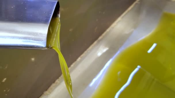 녹색 올리브유 공장, 엑스트라 버진 오일 액체 흐름 — 비디오