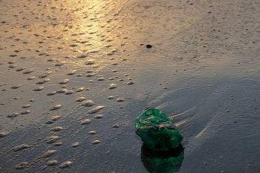 Deniz kıyısında yeşil plastik şişe, günbatımı altın ışık, kirlenmiş ekosistem konsepti
