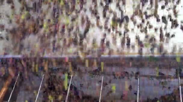 Proceso de máquina de defoliación de molino de aceite, movimiento de laminado de aceitunas, virgen extra italiana — Vídeo de stock