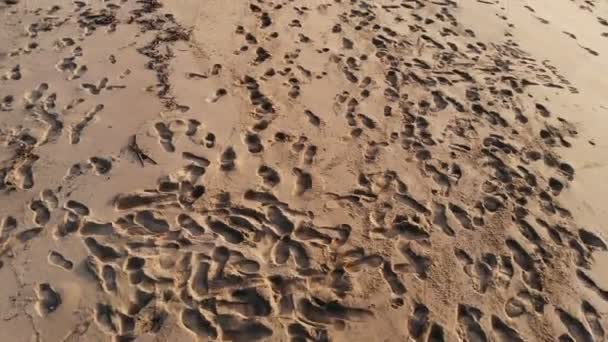 Vista aérea de vuelo por encima de las huellas humanas en la playa de arena naranja, ecosistema 4k — Vídeos de Stock