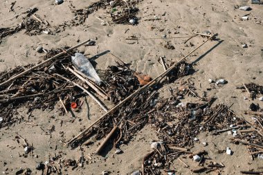 Vahşi deniz kıyısındaki plastik şişe bulanık dalgaların arka planında, gezegen kaydediliyor