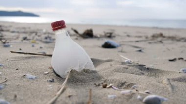 Genç adam deniz kıyısında plastik topluyor, ekosistem kirliliği kavramını temizliyor