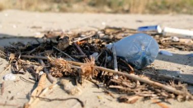 Genç adam kumlu deniz kıyısında plastik çöp topluyor, gezegen kirliliğini temizliyor.