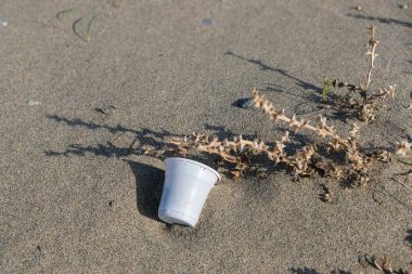 Plastik cam kumlu deniz kıyısı ekosisteminde, kirlilikten arınmış gezegen