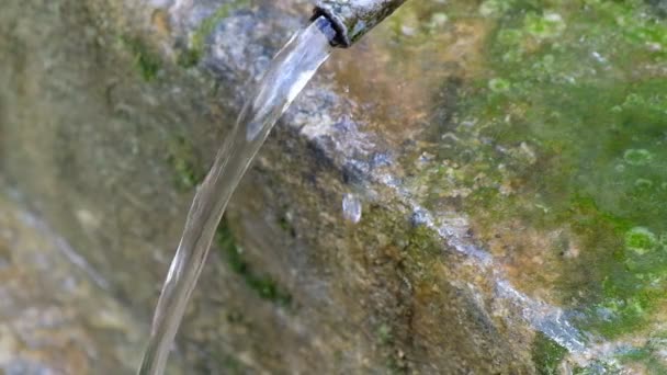 Flux d'eau liquide pur de source naturelle fontaine en italie, cilento 4k — Video