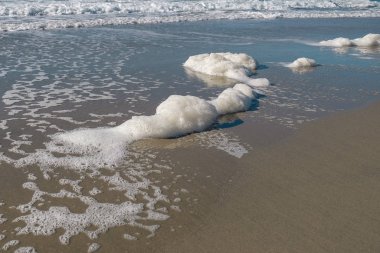Polluted chemical sea foam on wild sea coast ecosystem,pollution contamination