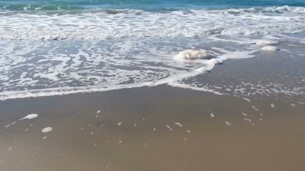 Mouvement chimique pollué de la mousse marine sur l'écosystème contaminé du littoral marin sauvage  