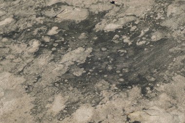 Petrol kirlenmiş kumlu deniz plajı ekosistem hasarı, kirlilik cilento İtalya 