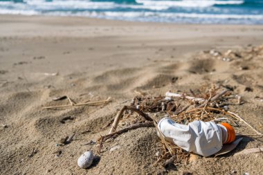 Plastik şişe atıkları vahşi deniz kıyısında, damege doğa, gezegen tasarrufu, cilento İtalya 
