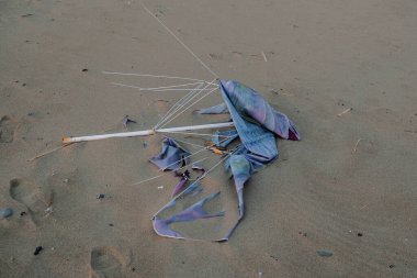 Vahşi deniz kıyısındaki plaj şemsiyesi çöpleri, damege nature, gezegen tasarrufu, cilento italy 