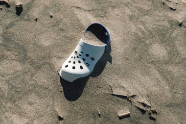 İtalya 'da deniz fırtınasından sonra deniz kıyısındaki vahşi ekosistem üzerinde yaz aylığı çöpleri.