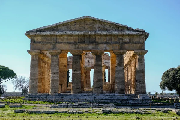 Neptune nettuno hera temple on Paestum archeological greek site in south italy — Stockfoto