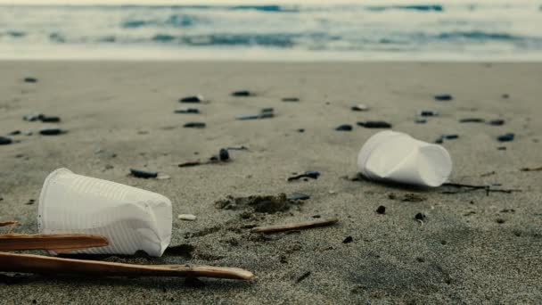 Ramasser humaine déchets en verre en plastique sur le rivage de la mer, nettoyer la pollution de l'écosystème, 4k — Video