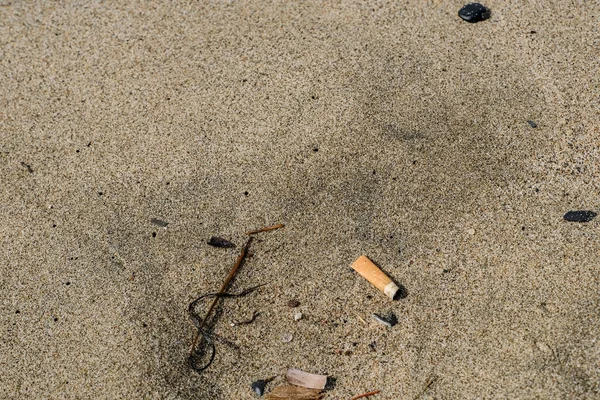 Kumlu deniz kıyısında sigara izmariti kirliliği, kirlenmiş okyanus ekosistemi kavramı 