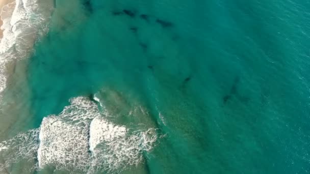 Aerial view of tar oil polluted sea coast ecosystem,contaminated water surface — Stockvideo